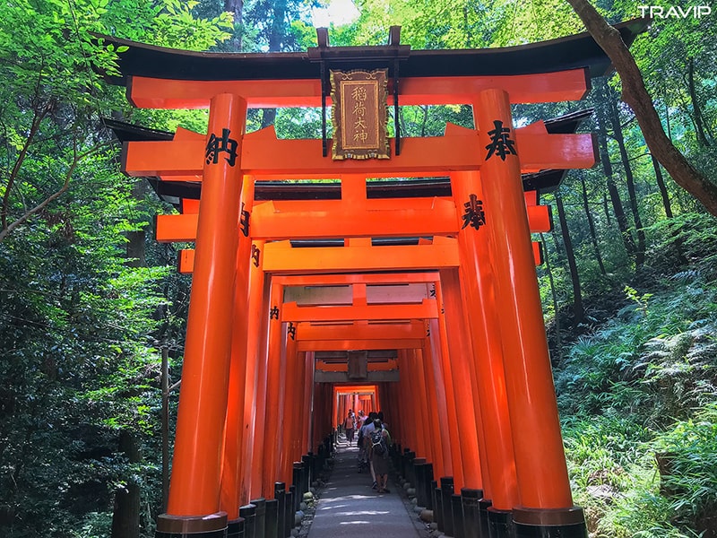 Cánh cổng Torii - Biểu tượng truyền thống Nhật Bản - Nhật ngữ ASAHI Bình Dương