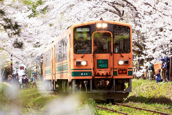 Kinh nghiệm sử dụng phương tiện công cộng ở Nhật Bản 